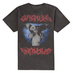 Warner Bros - Unisex T-Shirt: Gizmo Graphic