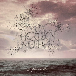 VON HERTZEN BROTHERS - IN MURMURATION - CD