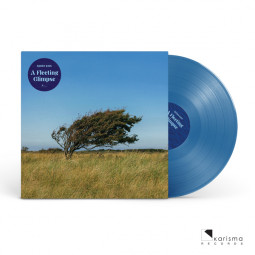 BJORN RIIS - A FLEETING GLIMPSE (BLUE VINYL) - LP